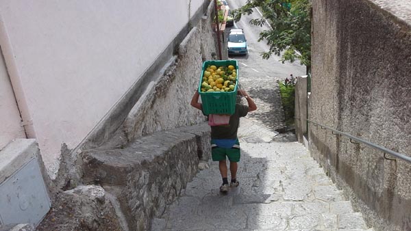 Lemon tour in Amalfi Coast